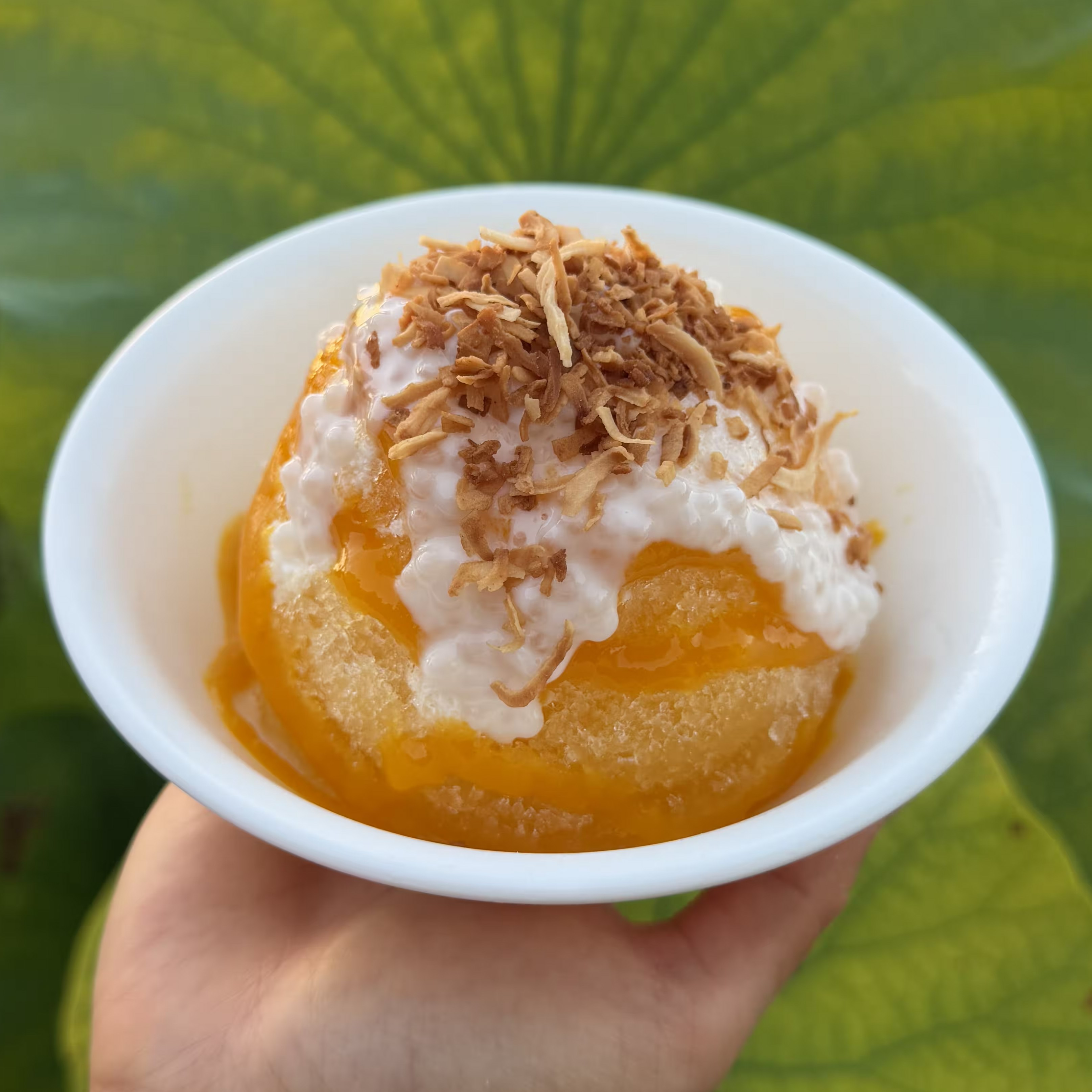 Golden Sago shave ice cup model